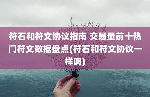 符石和符文协议指南 交易量前十热门符文数据盘点(符石和符文协议一样吗)