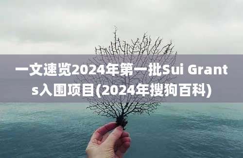 一文速览2024年第一批Sui Grants入围项目(2024年搜狗百科)