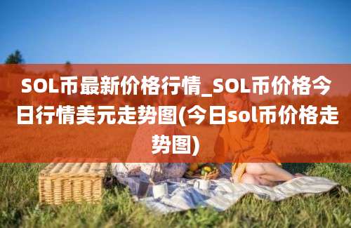 SOL币最新价格行情_SOL币价格今日行情美元走势图(今日sol币价格走势图)