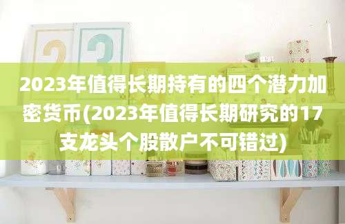 2023年值得长期持有的四个潜力加密货币(2023年值得长期研究的17支龙头个股散户不可错过)