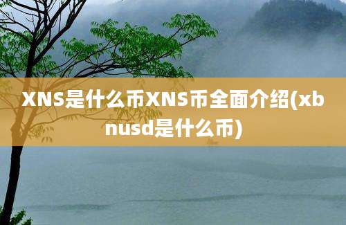 XNS是什么币XNS币全面介绍(xbnusd是什么币)