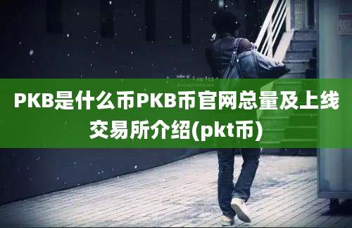 PKB是什么币PKB币官网总量及上线交易所介绍(pkt币)