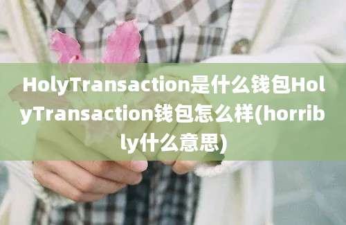 HolyTransaction是什么钱包HolyTransaction钱包怎么样(horribly什么意思)