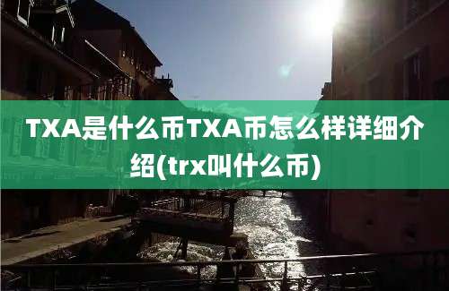 TXA是什么币TXA币怎么样详细介绍(trx叫什么币)