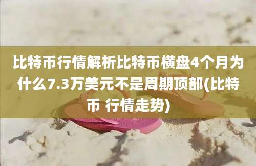 比特币行情解析比特币横盘4个月为什么7.3万美元不是周期顶部(比特币 行情走势)