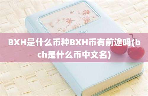 BXH是什么币种BXH币有前途吗(bch是什么币中文名)