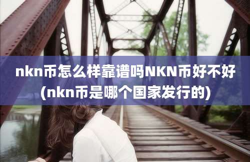 nkn币怎么样靠谱吗NKN币好不好(nkn币是哪个国家发行的)