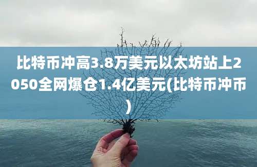 比特币冲高3.8万美元以太坊站上2050全网爆仓1.4亿美元(比特币冲币)