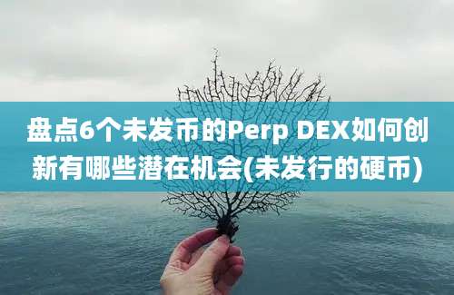 盘点6个未发币的Perp DEX如何创新有哪些潜在机会(未发行的硬币)