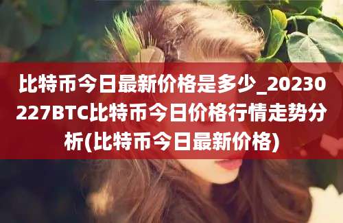 比特币今日最新价格是多少_20230227BTC比特币今日价格行情走势分析(比特币今日最新价格)