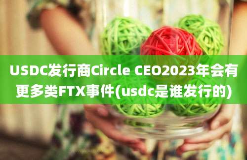 USDC发行商Circle CEO2023年会有更多类FTX事件(usdc是谁发行的)