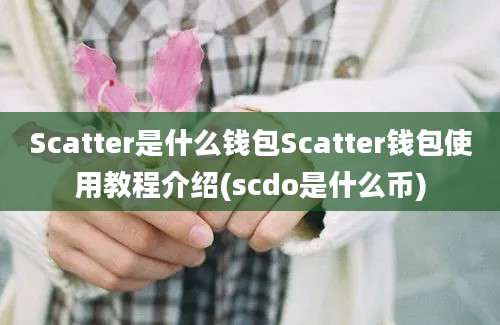 Scatter是什么钱包Scatter钱包使用教程介绍(scdo是什么币)