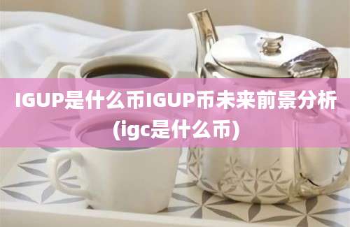 IGUP是什么币IGUP币未来前景分析(igc是什么币)