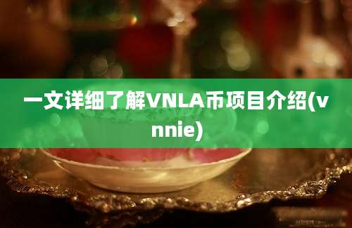 一文详细了解VNLA币项目介绍(vnnie)