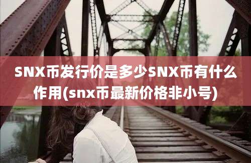 SNX币发行价是多少SNX币有什么作用(snx币最新价格非小号)