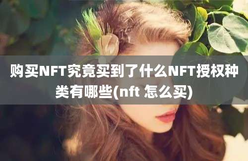 购买NFT究竟买到了什么NFT授权种类有哪些(nft 怎么买)