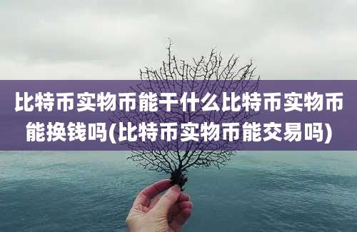 比特币实物币能干什么比特币实物币能换钱吗(比特币实物币能交易吗)