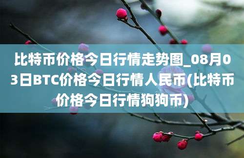 比特币价格今日行情走势图_08月03日BTC价格今日行情人民币(比特币价格今日行情狗狗币)