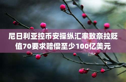 尼日利亚控币安操纵汇率致奈拉贬值70要求赔偿至少100亿美元