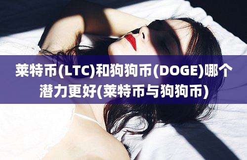 莱特币(LTC)和狗狗币(DOGE)哪个潜力更好(莱特币与狗狗币)