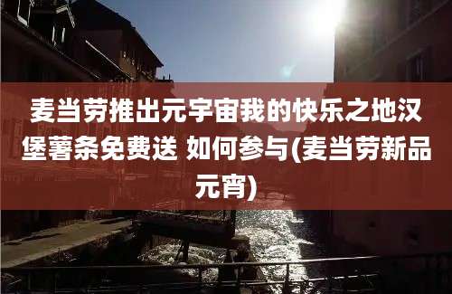 麦当劳推出元宇宙我的快乐之地汉堡薯条免费送 如何参与(麦当劳新品元宵)