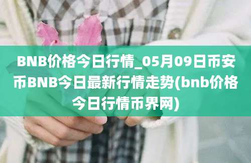 BNB价格今日行情_05月09日币安币BNB今日最新行情走势(bnb价格今日行情币界网)