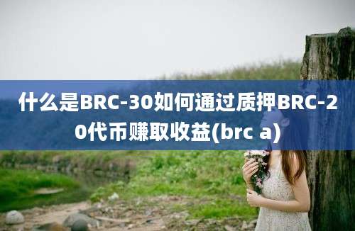 什么是BRC-30如何通过质押BRC-20代币赚取收益(brc a)