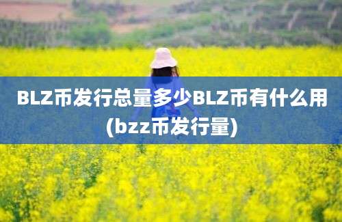 BLZ币发行总量多少BLZ币有什么用(bzz币发行量)