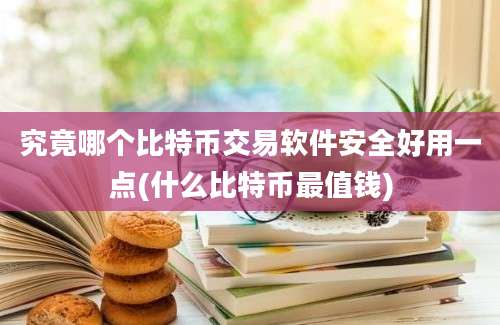 究竟哪个比特币交易软件安全好用一点(什么比特币最值钱)