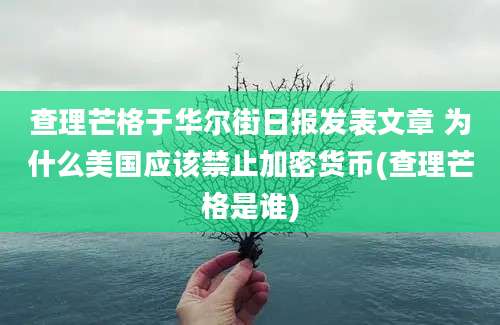 查理芒格于华尔街日报发表文章 为什么美国应该禁止加密货币(查理芒格是谁)