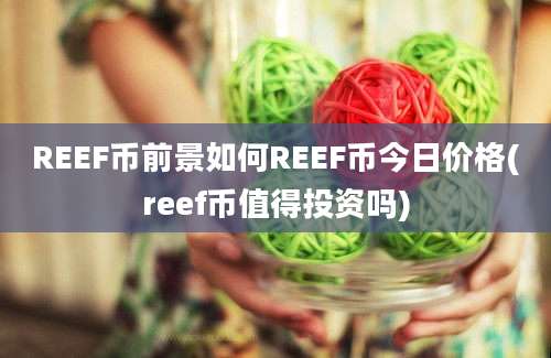 REEF币前景如何REEF币今日价格(reef币值得投资吗)