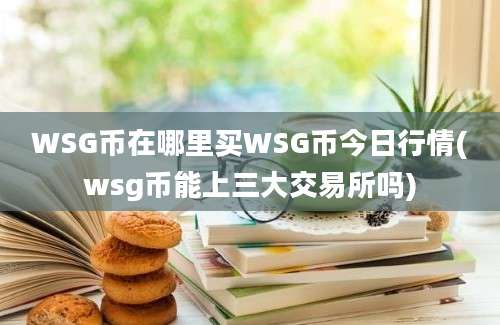 WSG币在哪里买WSG币今日行情(wsg币能上三大交易所吗)