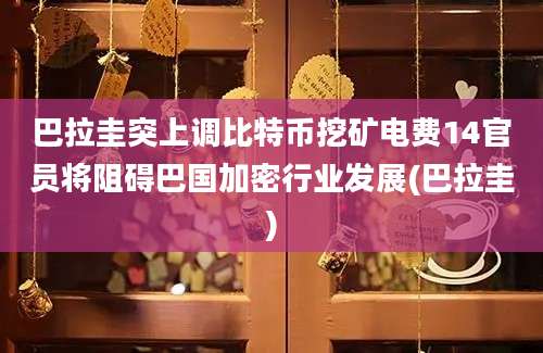 巴拉圭突上调比特币挖矿电费14官员将阻碍巴国加密行业发展(巴拉圭)