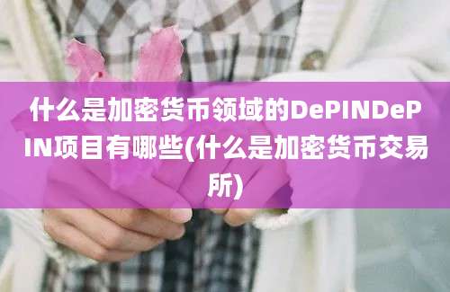 什么是加密货币领域的DePINDePIN项目有哪些(什么是加密货币交易所)