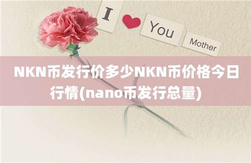 NKN币发行价多少NKN币价格今日行情(nano币发行总量)