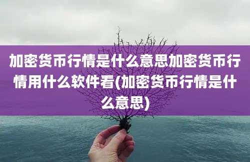 加密货币行情是什么意思加密货币行情用什么软件看(加密货币行情是什么意思)