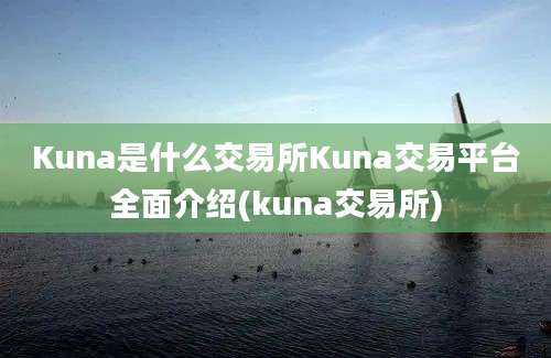 Kuna是什么交易所Kuna交易平台全面介绍(kuna交易所)