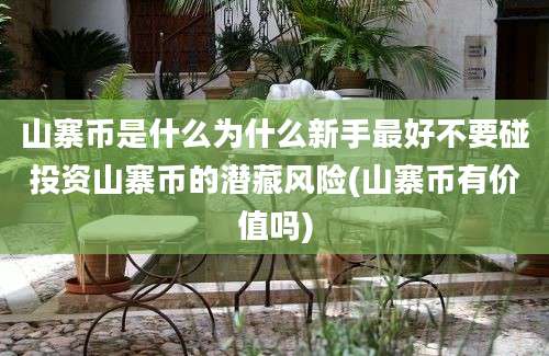 山寨币是什么为什么新手最好不要碰投资山寨币的潜藏风险(山寨币有价值吗)