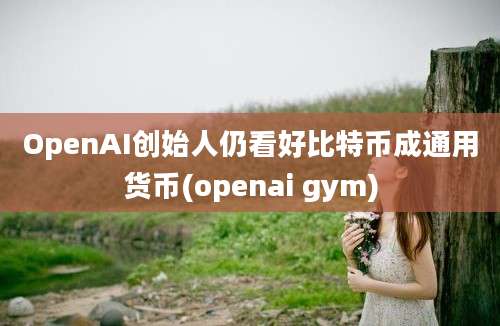 OpenAI创始人仍看好比特币成通用货币(openai gym)