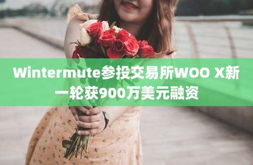 Wintermute参投交易所WOO X新一轮获900万美元融资