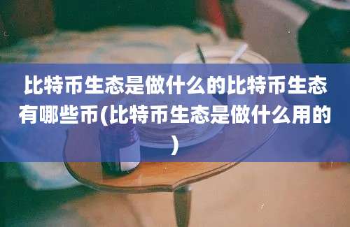 比特币生态是做什么的比特币生态有哪些币(比特币生态是做什么用的)