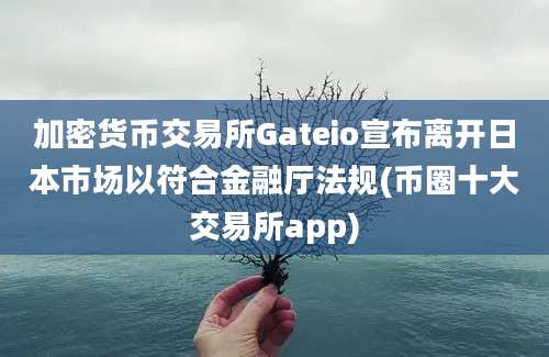 加密货币交易所Gateio宣布离开日本市场以符合金融厅法规(币圈十大交易所app)