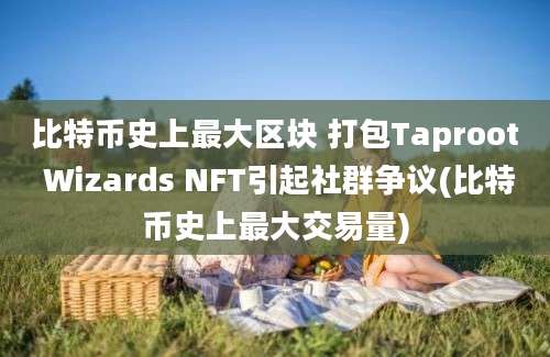 比特币史上最大区块 打包Taproot Wizards NFT引起社群争议(比特币史上最大交易量)