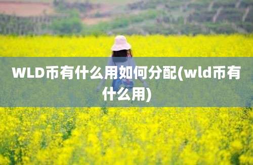 WLD币有什么用如何分配(wld币有什么用)