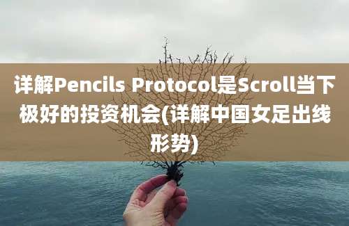 详解Pencils Protocol是Scroll当下极好的投资机会(详解中国女足出线形势)