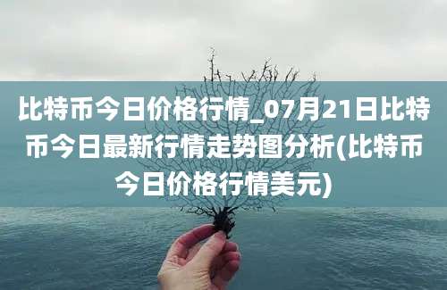 比特币今日价格行情_07月21日比特币今日最新行情走势图分析(比特币今日价格行情美元)