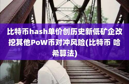 比特币hash单价创历史新低矿企改挖其他PoW币对冲风险(比特币 哈希算法)