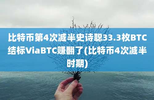 比特币第4次减半史诗聪33.3枚BTC结标ViaBTC赚翻了(比特币4次减半时期)