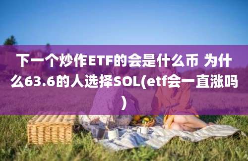 下一个炒作ETF的会是什么币 为什么63.6的人选择SOL(etf会一直涨吗)