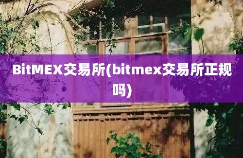 BitMEX交易所(bitmex交易所正规吗)